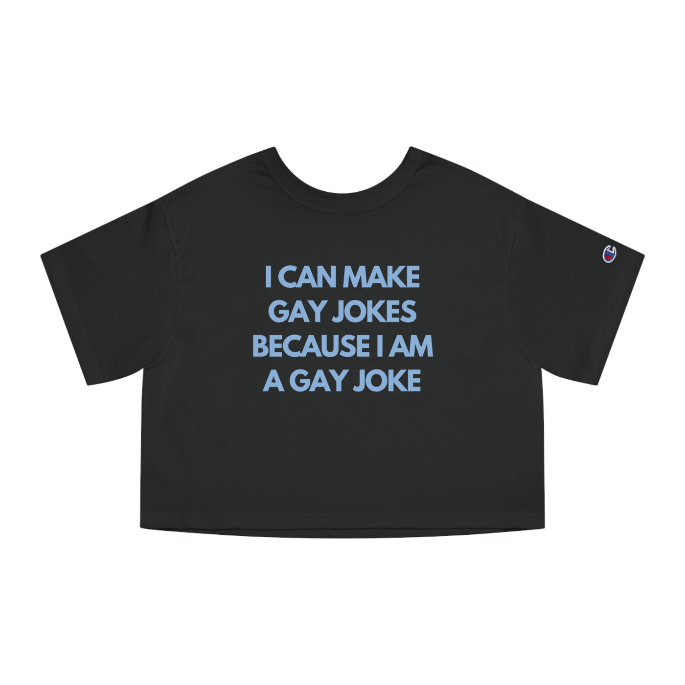 I Can Make Gay Jokes Because I Am A Gay Joke