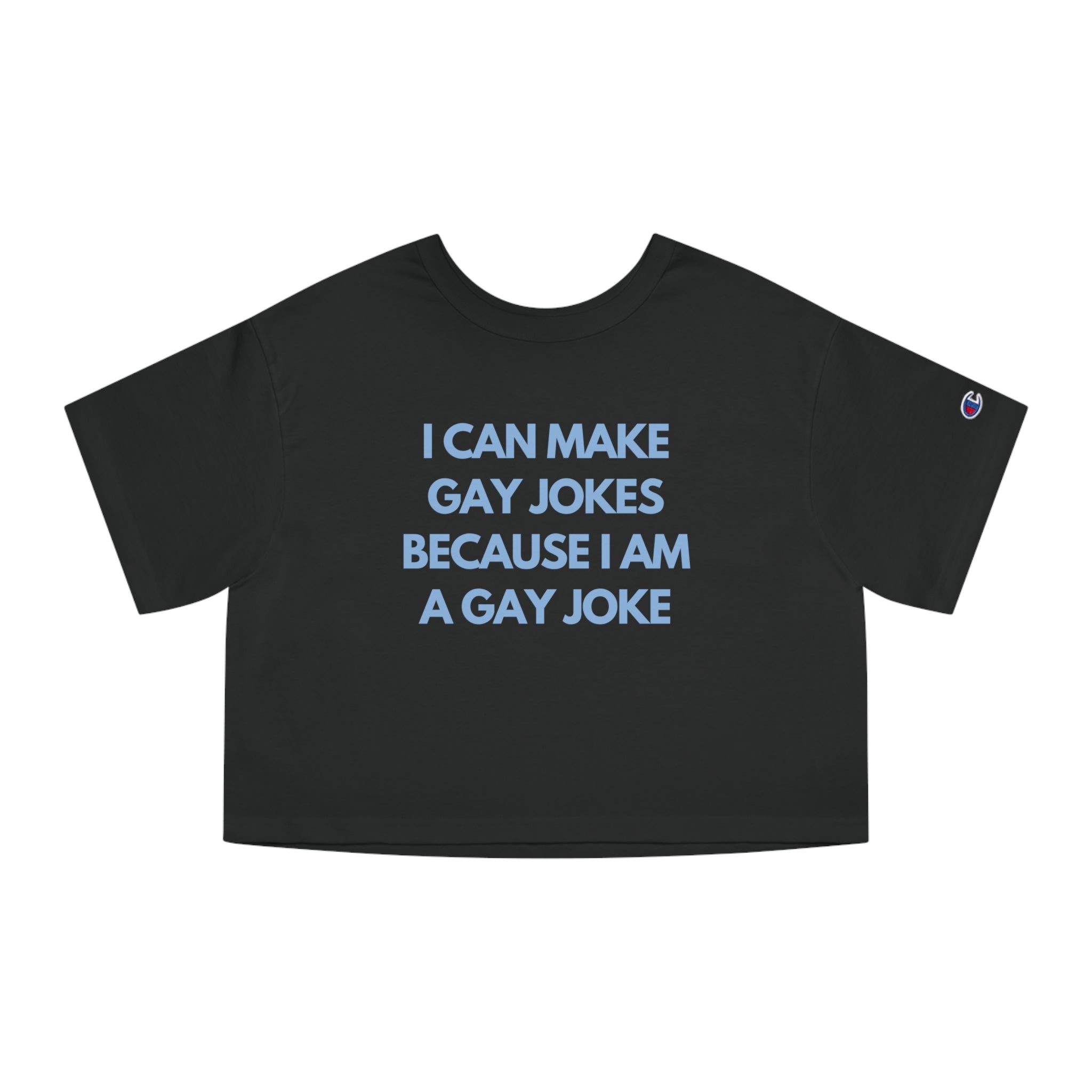 I Can Make Gay Jokes Because I Am A Gay Joke