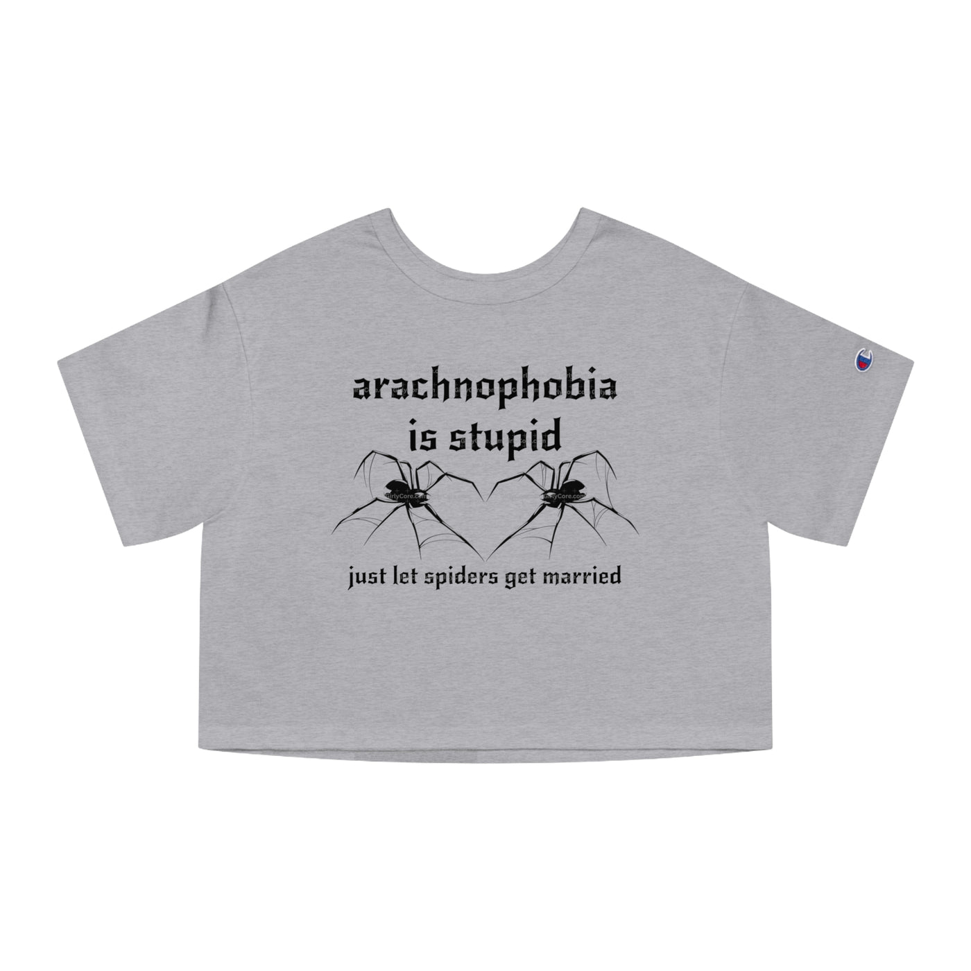 Arachnophobia Is Stupid Just Let The Spiders Get Married