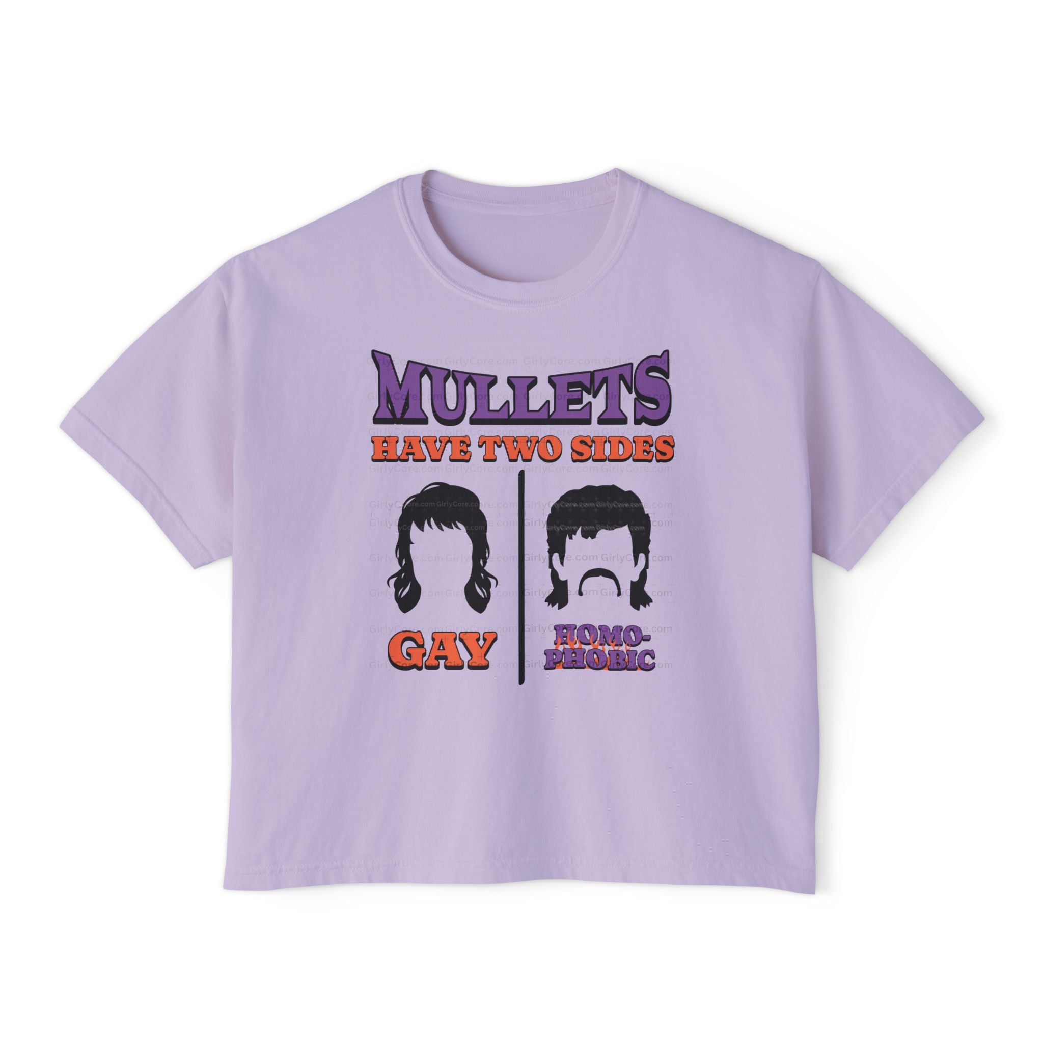 Mullets Have Two Sides Gay And Homophobic