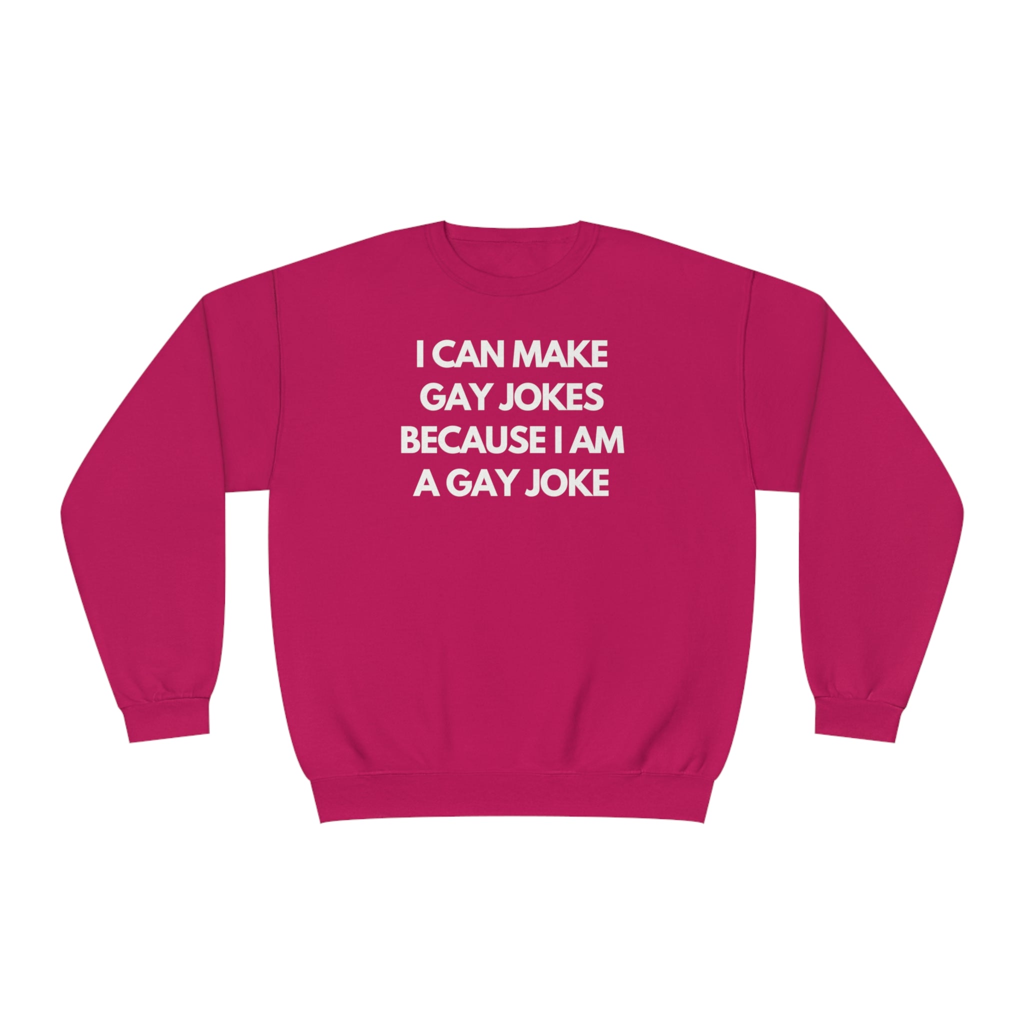 I Can Make Gay Jokes Because I Am A Gay Joke