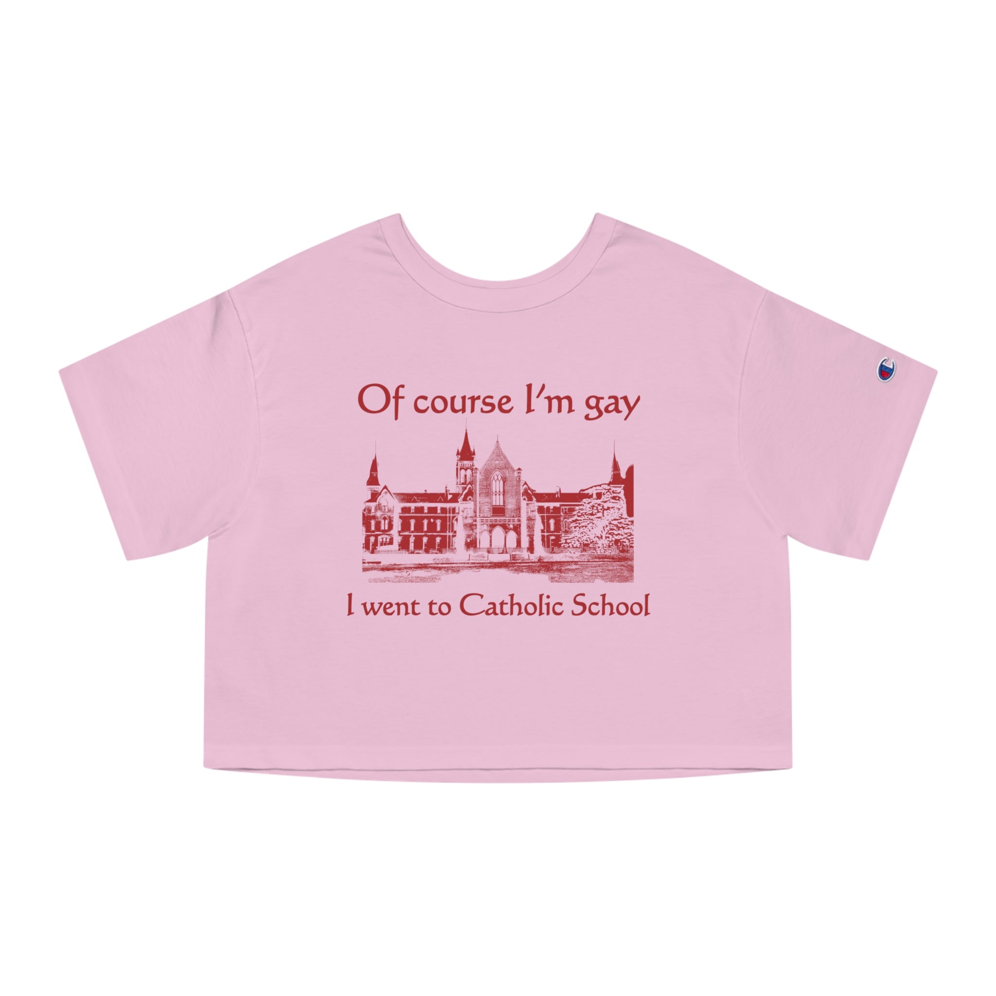 Of Course I'm Gay I Went To Catholic School