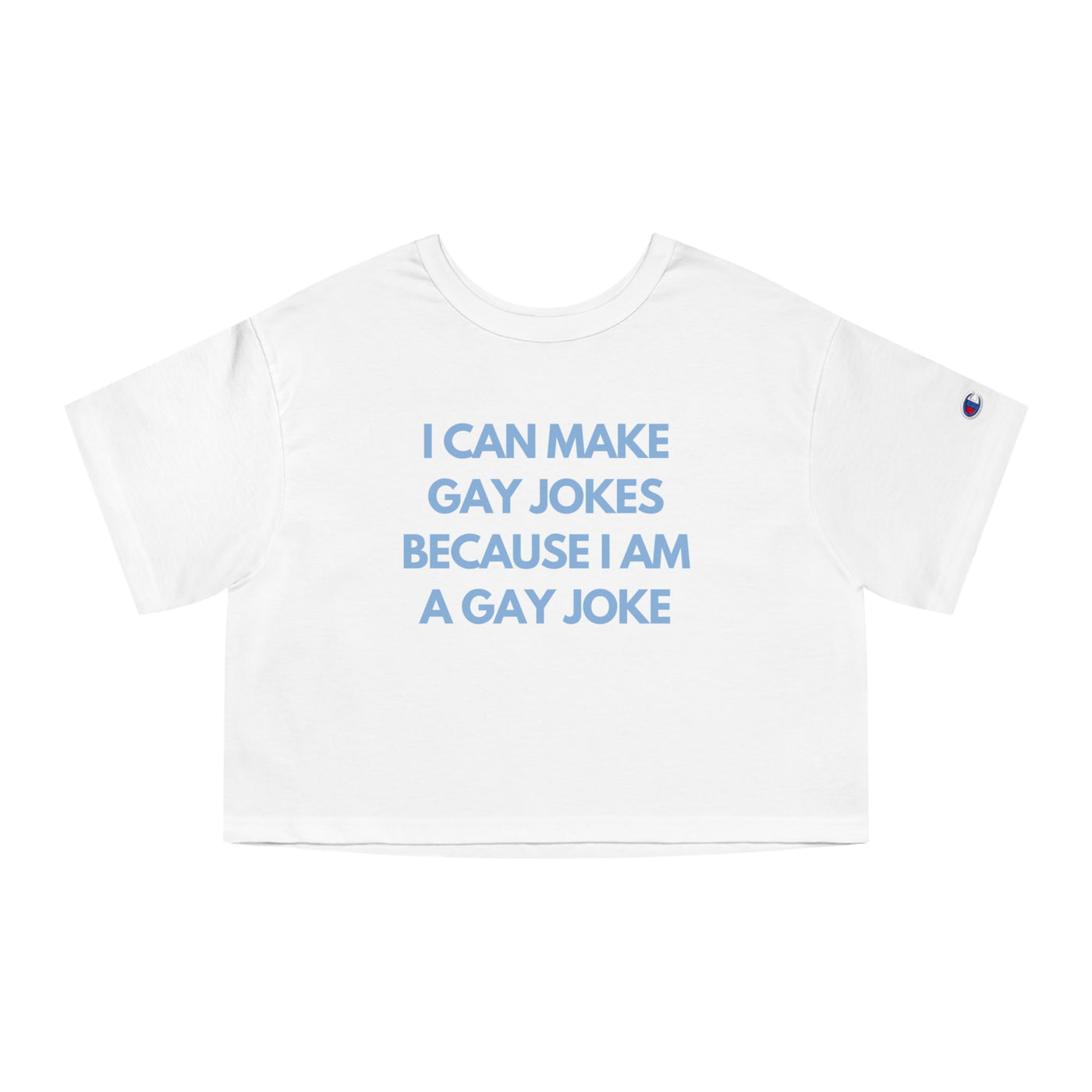 I Can Make Gay Jokes Because I Am A Gay Joke