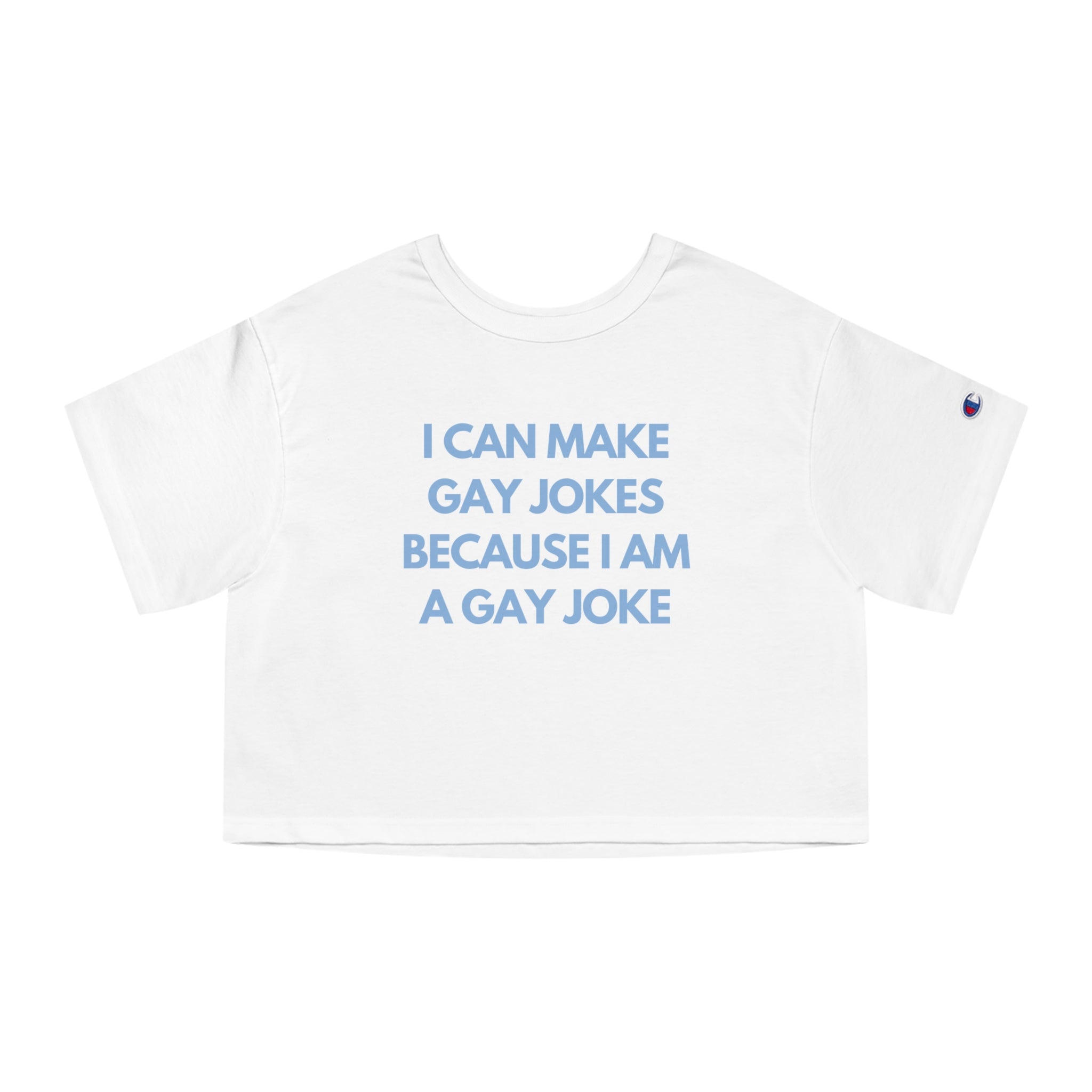 I Can Make Gay Jokes Because I Am A Gay Joke