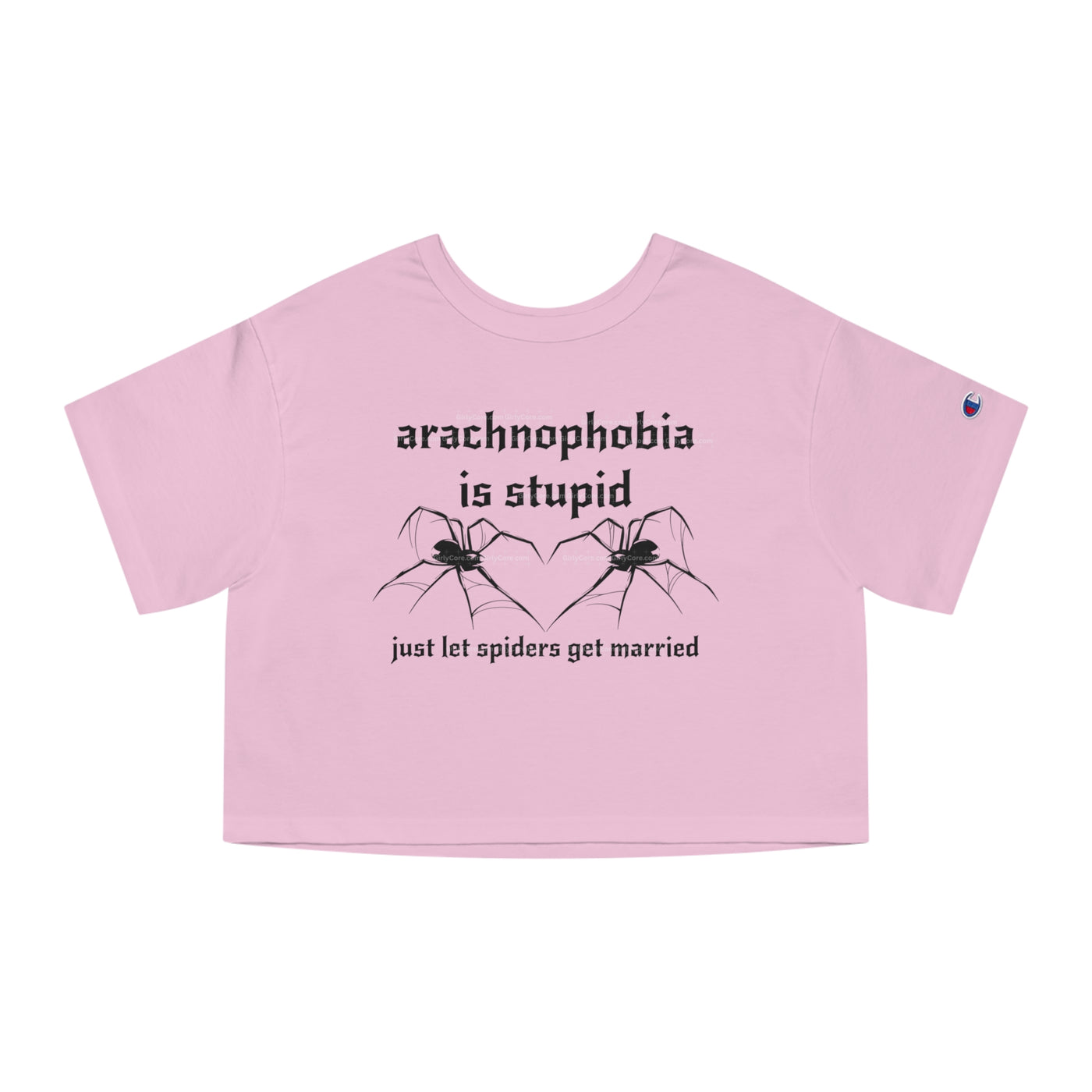 Arachnophobia Is Stupid Just Let The Spiders Get Married