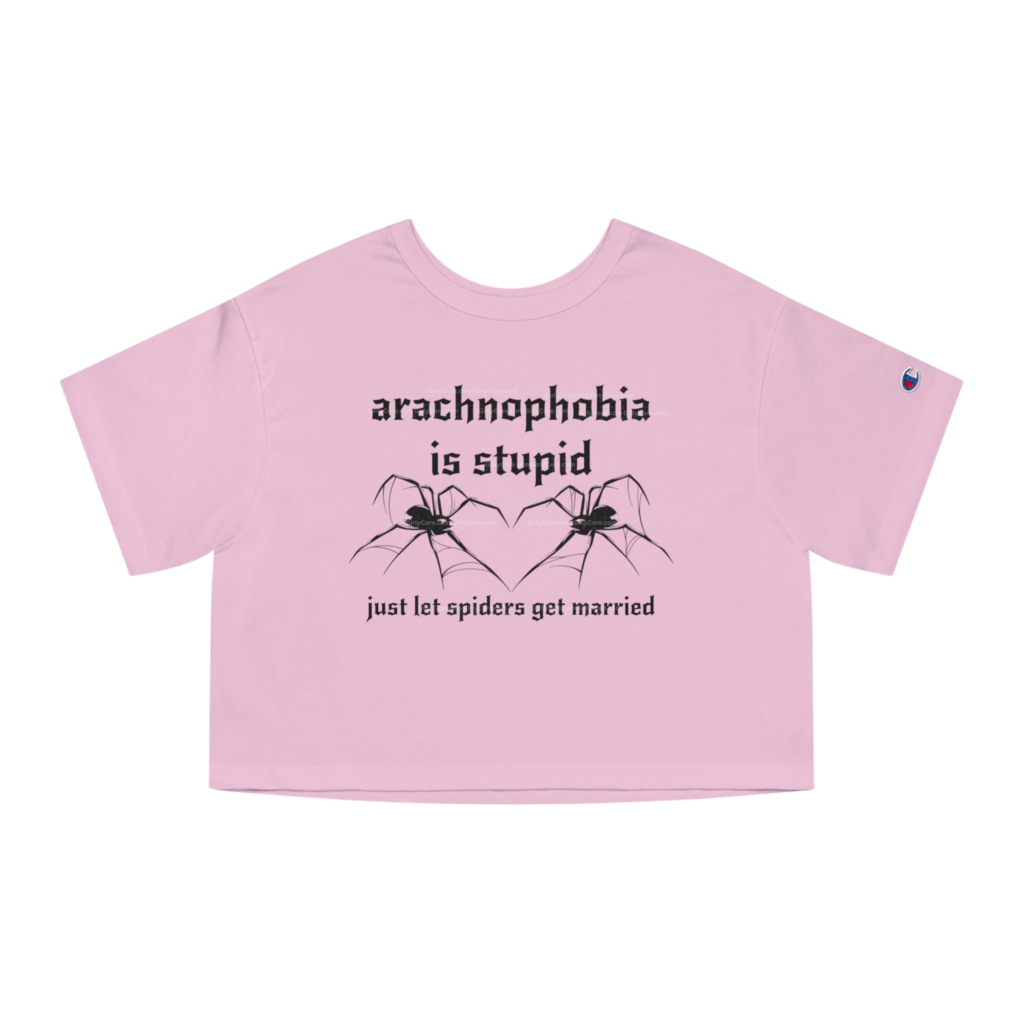 Arachnophobia Is Stupid Just Let The Spiders Get Married