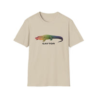 Gaytor
