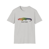 Gaytor