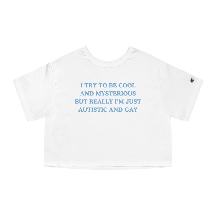 I Try To Be Cool And Mysterious But Really I'm Just Autistic And Gay