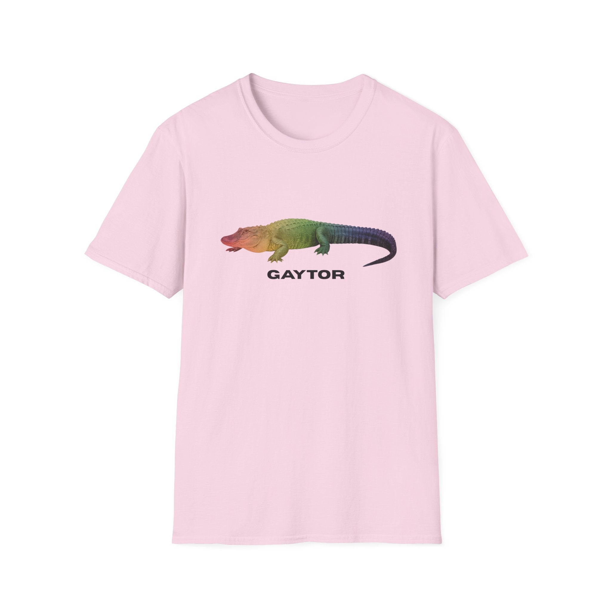 Gaytor