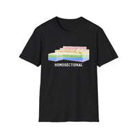 Homosectional