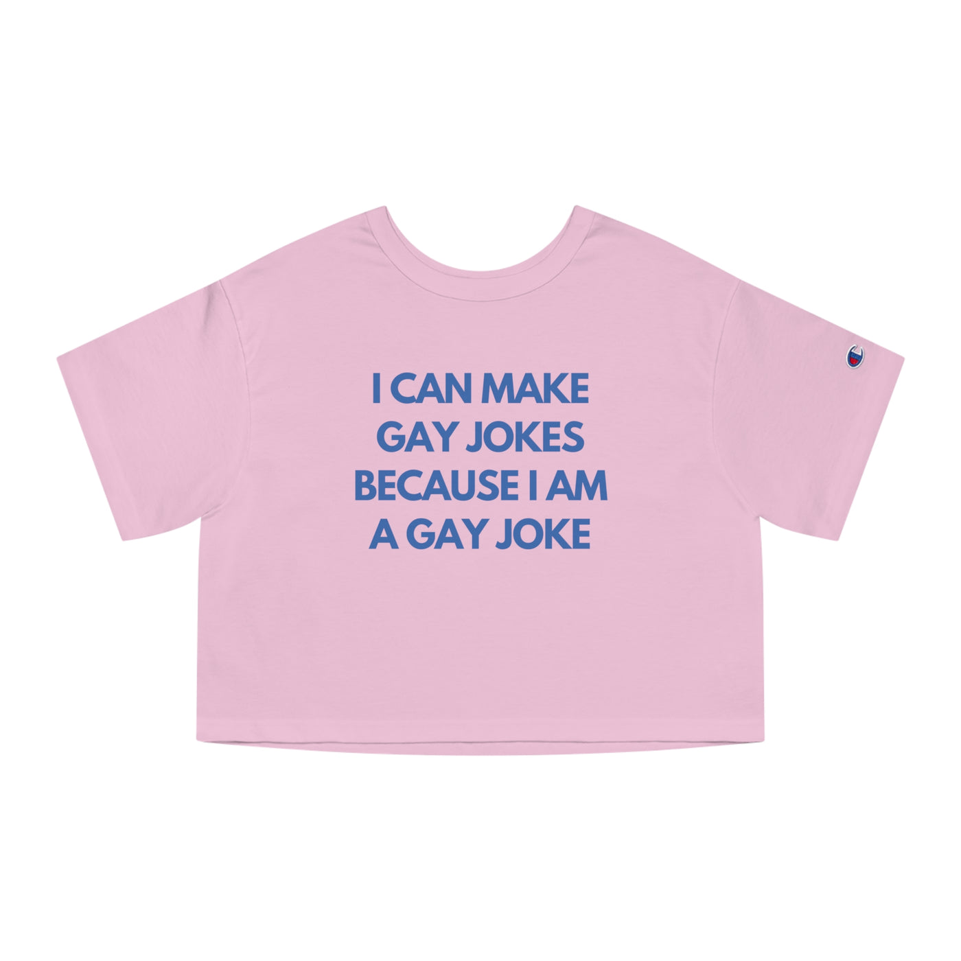 I Can Make Gay Jokes Because I Am A Gay Joke