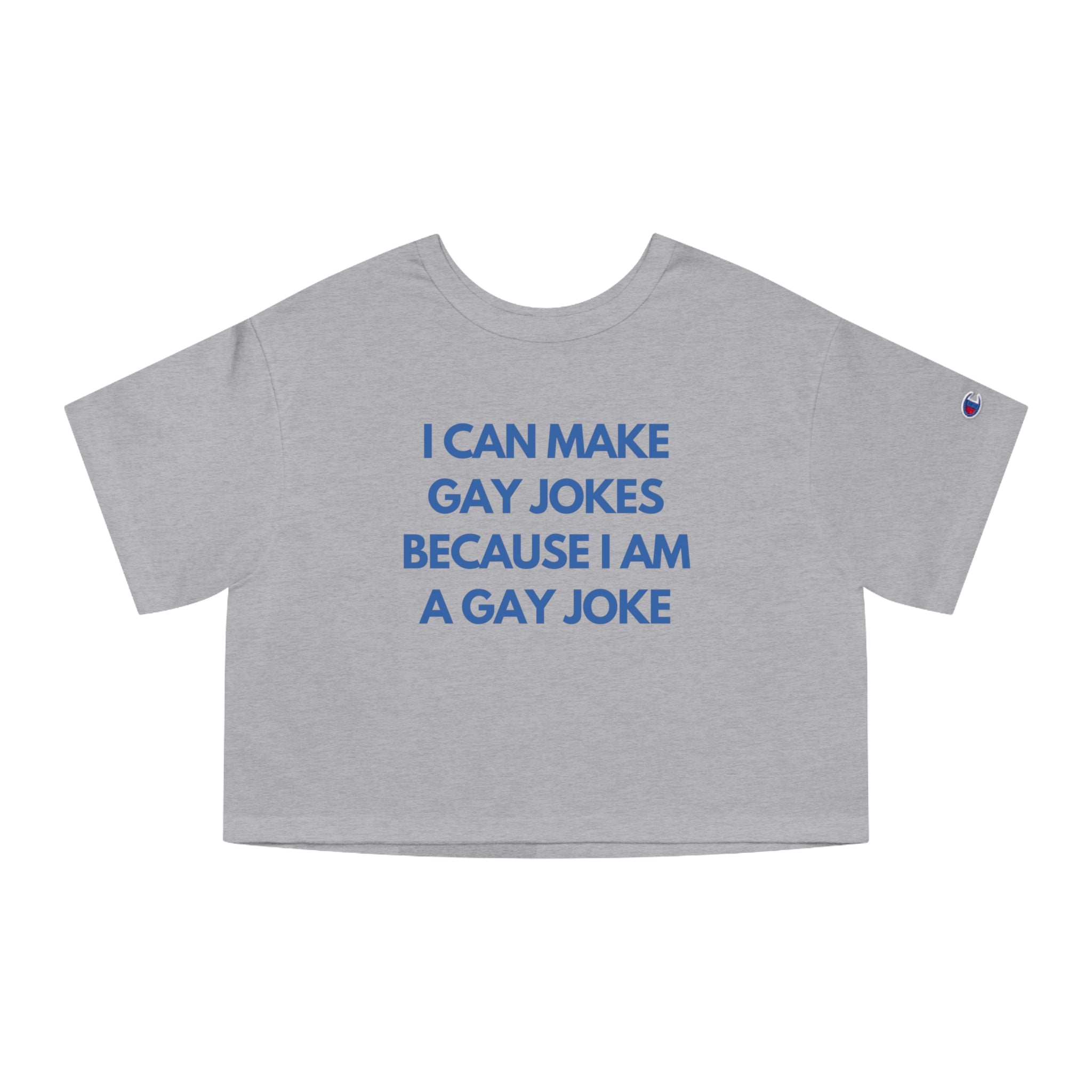 I Can Make Gay Jokes Because I Am A Gay Joke