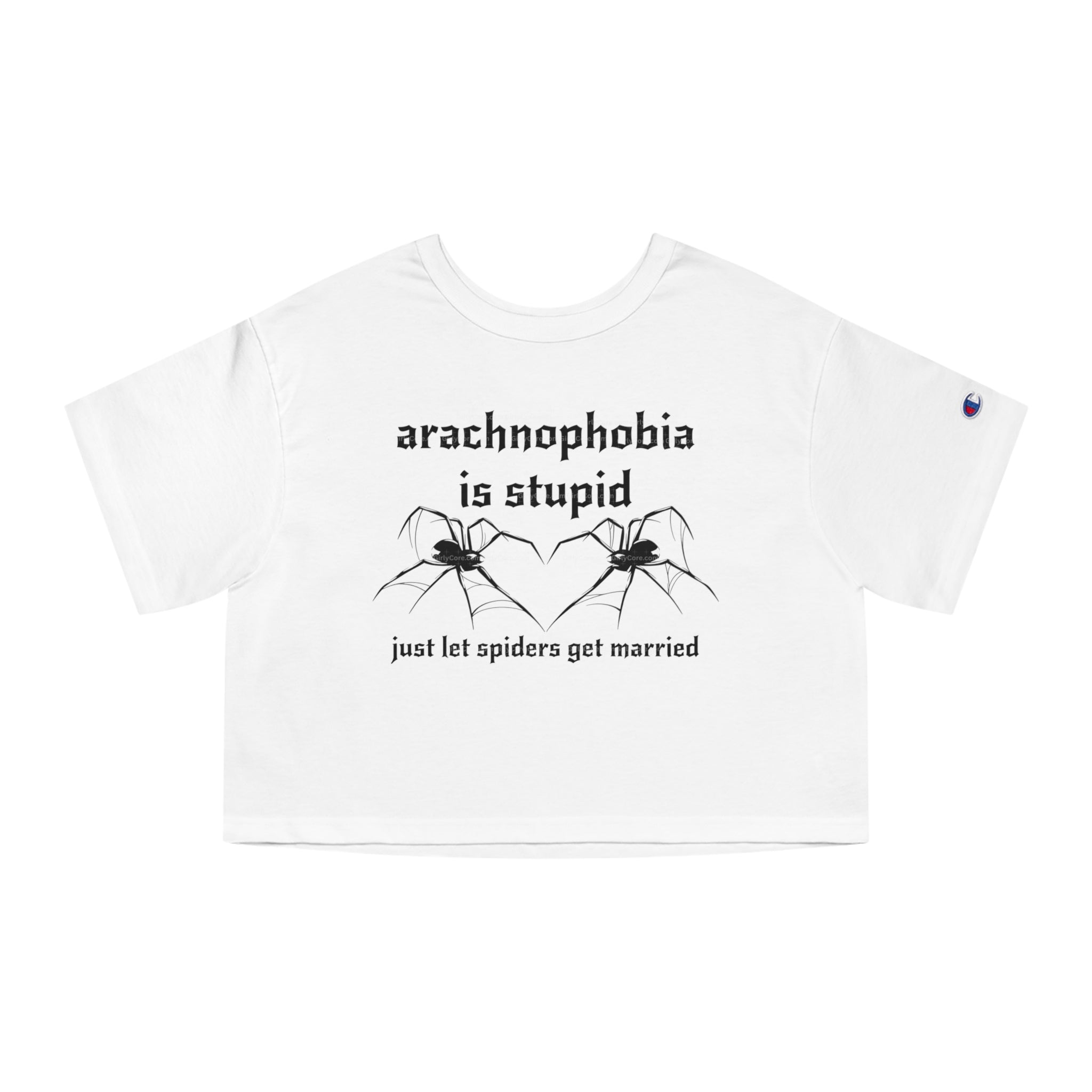 Arachnophobia Is Stupid Just Let The Spiders Get Married